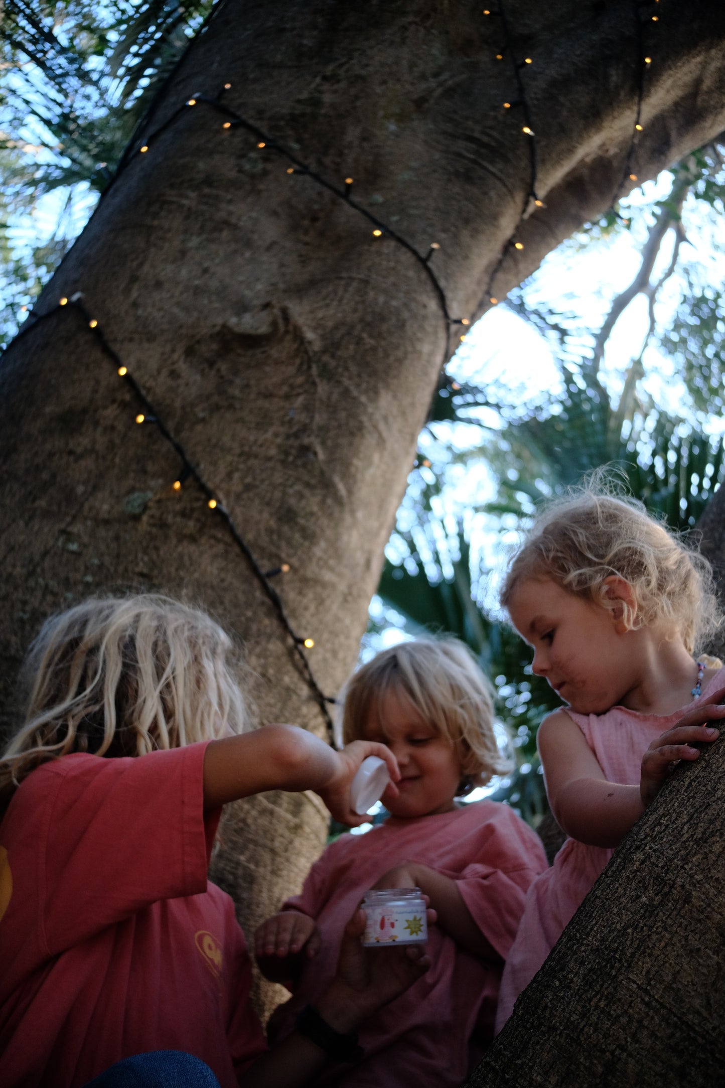 Children playing outdoors under a tree with string lights using Glass Wholefoods Tallow Mosquito Balm