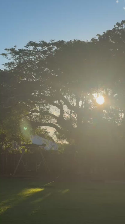 Sunset through trees in a backyard setting showcasing outdoor lifestyle for Glass Wholefoods Mosquito Balm
